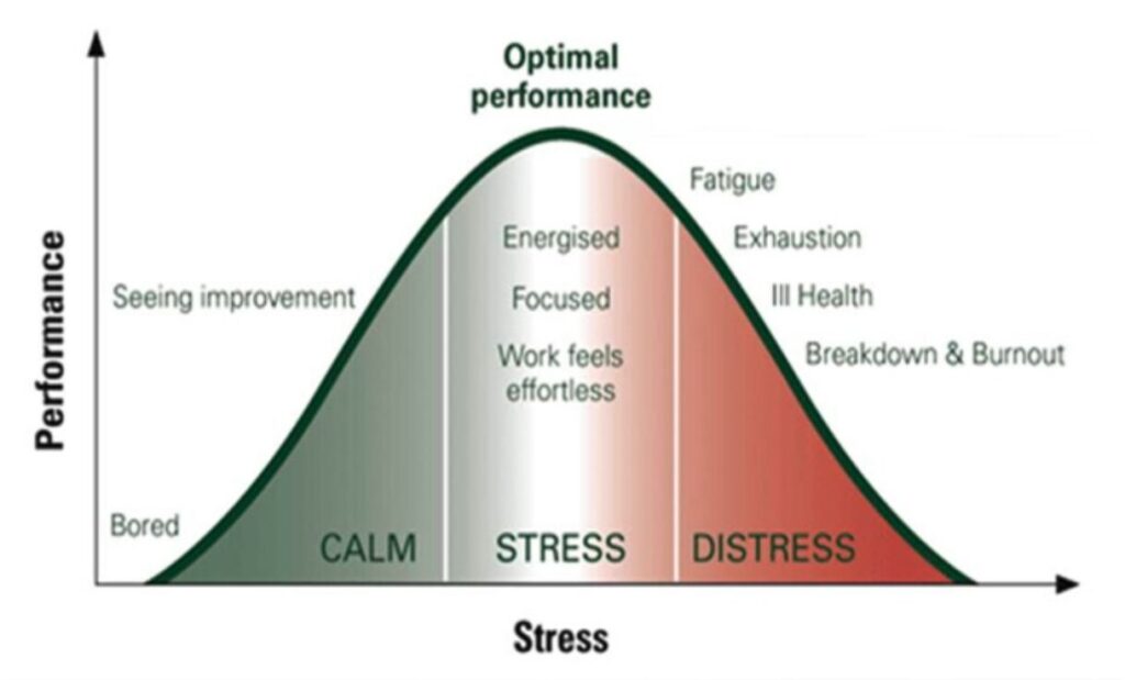 Performance chart